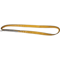 Polyester Slings, Single Ply, Endless, Type 5, 1" W x 3' L, 3200 lbs. Vertical Cap. Haskins Industrial Inc.