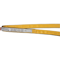 Polyester Slings, Single Ply, Endless, Type 5, 1" W x 3' L, 3200 lbs. Vertical Cap. Haskins Industrial Inc.