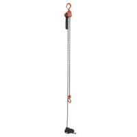 Mini Lever Hoist, 15' Lift, 500 lbs. (0.25 tons) Capacity, Steel Chain Haskins Industrial Inc.