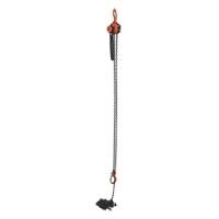 Mini Lever Hoist, 15' Lift, 1000 lbs. (0.5 tons) Capacity, Steel Chain Haskins Industrial Inc.