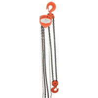 Chain Hoist, 20' Lift, 1000 lbs. (0.5 tons) Capacity, Alloy Steel Chain Haskins Industrial Inc.