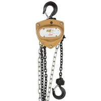 Heavy-Duty Gold Series Chain Hoist, 20' Lift, 1000 lbs. (0.5 tons) Capacity, Alloy Steel Chain Haskins Industrial Inc.