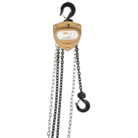 Heavy-Duty Gold Series Chain Hoist, 20' Lift, 2000 lbs. (1 tons) Capacity, Alloy Steel Chain Haskins Industrial Inc.