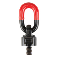 Lifting Hoist Rings