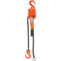 Lever Hoist, 5' Lift, 1500 lbs. (0.75 tons) Capacity, Alloy Steel Chain Haskins Industrial Inc.