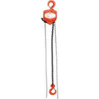 Chain Hoist, 10' Lift, 1000 lbs. (0.45 tons) Capacity, Alloy Steel Chain Haskins Industrial Inc.