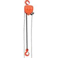 Chain Hoist, 20' Lift, 1000 lbs. (0.45 tons) Capacity, Alloy Steel Chain Haskins Industrial Inc.