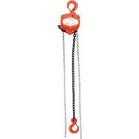 Chain Hoist, 20' Lift, 1000 lbs. (0.45 tons) Capacity, Alloy Steel Chain Haskins Industrial Inc.