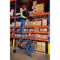 CSA-Certified Rolling Step Ladder, 5 Steps, 22" Step Width, 46" Platform Height, Steel Haskins Industrial Inc.