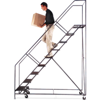 Slope Rolling Ladder, 5 Steps, Anti-Skid, 50° Incline, 50" High Haskins Industrial Inc.