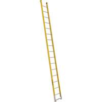 Single Section Straight Ladder - 6100 Series, 16', Fibreglass, 375 lbs., CSA Grade 1AA Haskins Industrial Inc.