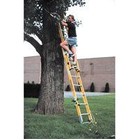 Industrial Heavy-Duty Extension Ladders (6200 Series), 375 lbs. Cap., 13' H, Grade 1AA Haskins Industrial Inc.
