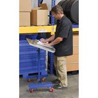 Mobile Tilting Work Table Haskins Industrial Inc.