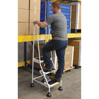 Stop-Step Ladders, 3 Steps, 16" Step Width, 28-11/16" Platform Height, Steel Haskins Industrial Inc.