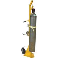 Portable Cylinder Lifter Haskins Industrial Inc.
