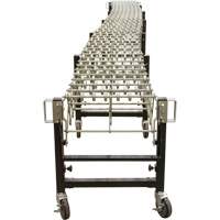 Expandable Conveyor, 18" W x 12' L, 200 lbs. per lin. ft. Capacity Haskins Industrial Inc.