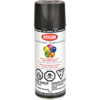 Industrial Acryli-Quik Lacquer, Black, Semi-Flat, 12 oz., Aerosol Can Haskins Industrial Inc.
