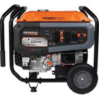 Portable Generator with COsense&reg; Technology, 10000 W Surge, 8000 W Rated, 120 V/240 V, 7.9 gal. Tank Haskins Industrial Inc.