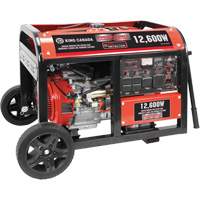 Gasoline Generator with Electric Start, 12600 W Surge, 9000 W Rated, 120 V/240 V, 31 L Tank Haskins Industrial Inc.