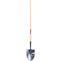 Pro Round Point Shovel, Tempered Steel Blade, Wood, Straight Handle Haskins Industrial Inc.
