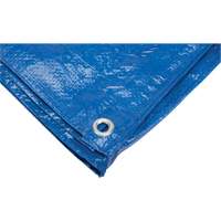 Tarp, Standard Duty, Blue, 7' x 5' x 4 mils Haskins Industrial Inc.