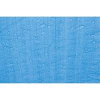 Tarp, Standard Duty, Blue, 7' x 5' x 4 mils Haskins Industrial Inc.