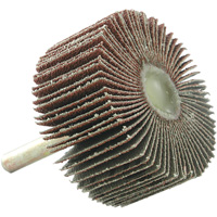 Disque &agrave; lamelles mont&eacute;, Grain 60, 2" x 1" x 1/4" Haskins Industrial Inc.