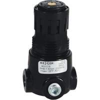 Wilkerson Miniature Regulator R03, 1/8" NPT, 300 psi Max. PSI, Standard Haskins Industrial Inc.