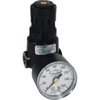 Wilkerson Miniature Regulator R04, 1/4" NPT, 300 psi Max. PSI, Standard Haskins Industrial Inc.