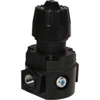 Wilkerson Compact Regulator R16, 1/4" NPT, 300 psi Max. PSI, Standard Haskins Industrial Inc.