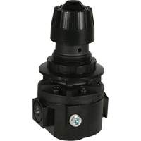 Wilkerson Regulator R26, 3/8" NPT, 300 psi Max. PSI, Standard Haskins Industrial Inc.