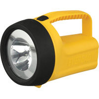 EverReady&reg; Readyflex Floating Lantern, LED, 80 Lumens, D Batteries Haskins Industrial Inc.