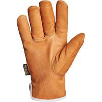 Endura&reg; Gloves, Large, Synthetic Palm, Thinsulate Inner Lining Haskins Industrial Inc.