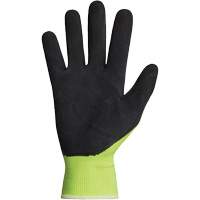 Dexterity&reg; Coated Gloves, 10, Latex Coating, 13 Gauge, Polyester Shell Haskins Industrial Inc.