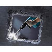 Demolition Hammer Haskins Industrial Inc.