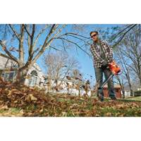 3-in-1 VacPack Leaf Blower/Vacuum/Mulcher, 250 MPH Output, Electric Haskins Industrial Inc.