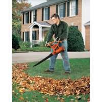 Leaf Blower/Vacuum/Mulcher, 210 MPH Output, Electric Haskins Industrial Inc.