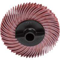 Scotch-Brite Radial Bristle Disc, RB-ZB, Ceramic, 220 Grit, 2" Dia. Haskins Industrial Inc.