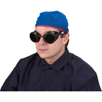 Cup Goggles, 5.0 Lens, Anti-Scratch, Closed Vent Haskins Industrial Inc.