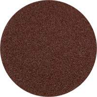 Lock Back Sanding Disc - 3", 3" Dia., 36 Grit, Aluminum Oxide Haskins Industrial Inc.