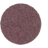 Disque de conditionnement de surface, 1" dia., Grain P100, Oxyde d'aluminium Haskins Industrial Inc.