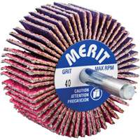 Mini-meule &agrave; lamelles mont&eacute;e sur tige, C&eacute;ramique d'alumine, Grain 40, 2" x 1" x 1/4" Haskins Industrial Inc.