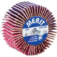 Mini-meule &agrave; lamelles filet&eacute;es, C&eacute;ramique d'alumine, Grain 40, 2" x 1" x 1/4"-20 Haskins Industrial Inc.
