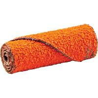 Cartouche de ruban abrasif en rouleau, 60 Grain, 1/2" dia., C&eacute;ramique d'alumine, 1-1/2" lo, 1/8" Dimension de l'arbre Haskins Industrial Inc.