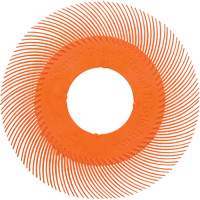 Brosse radiale en soies de pr&eacute;cision type C PN-RB sans adaptateur Scotch-Brite , C&eacute;ramique, Grain 80+, 6" dia. Haskins Industrial Inc.