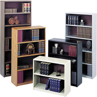 Value Mate&reg; Steel Bookcase Haskins Industrial Inc.