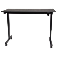 Adjustable Stand-Up Desk, Stand-Alone Desk, 45-1/4" H x 29-1/2" D, Black Haskins Industrial Inc.