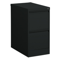 Vertical Filing Cabinet, Steel, 2 Drawers, 15-1/7" W x 25" D x 29" H, Black Haskins Industrial Inc.