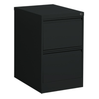 Vertical Filing Cabinet, Steel, 2 Drawers, 18-1/7" W x 25" D x 29" H, Black Haskins Industrial Inc.
