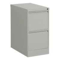 Vertical Filing Cabinet, Steel, 2 Drawers, 15-1/7" W x 25" D x 29" H, Grey Haskins Industrial Inc.